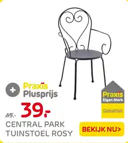 Praxis Central park tuinstoel rosy aanbieding
