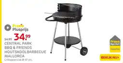 Praxis Central park bbq & friends houtskoolbarbecue mallorca aanbieding