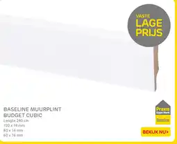 Praxis Baseline muurplint budget cubic aanbieding