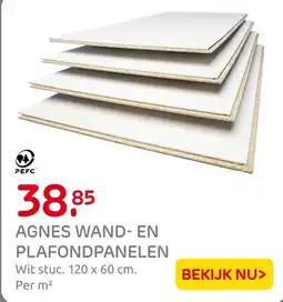 Praxis Agnes wand en plafontpanelen aanbieding