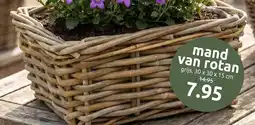 Deka Tuin Mand van Rotan aanbieding