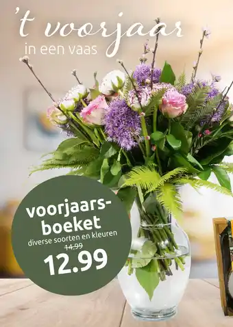 Deka Tuin Voorjaarsboeket aanbieding