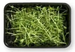 HANOS Microgroenten Snow Pea Tendril aanbieding