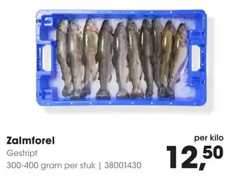 HANOS Zalmforel aanbieding