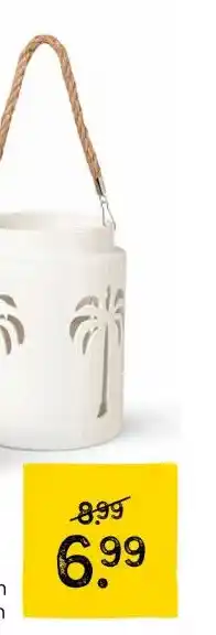 Xenos Lantaarn palmboom aanbieding