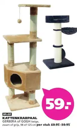 Ranzijn KATTENKRABPAAL GERBERA of GOGH aanbieding