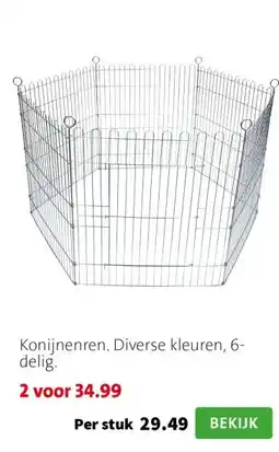 Intratuin Konijnenren. Diverse kleuren, 6-delig. aanbieding