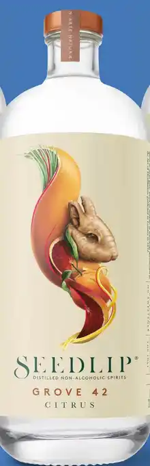 Gall & Gall Seedlip Grove 70CL aanbieding