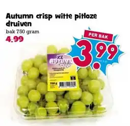 Boon`s Markt Autumn crisp witte pitloze druiven aanbieding