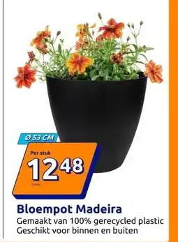Action Bloempot Madeira aanbieding