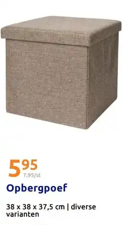 Action Opbergpoef aanbieding