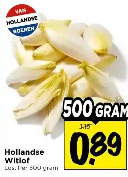 Vomar Voordeelmarkt Hollandse Witlof aanbieding