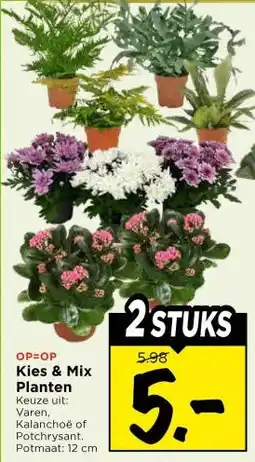 Vomar Voordeelmarkt Kies & Mix Planten aanbieding