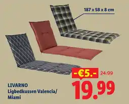 Lidl Livarno ligbedkussen valencia/ miami aanbieding