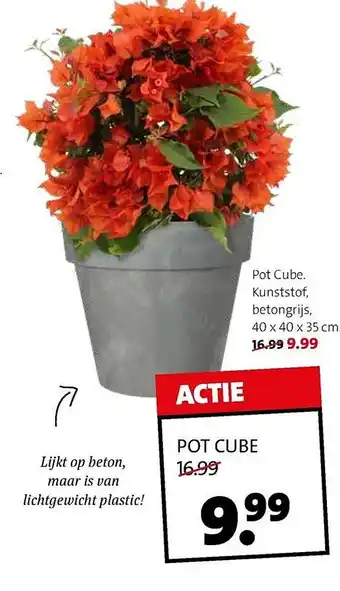 Intratuin Pot cube aanbieding