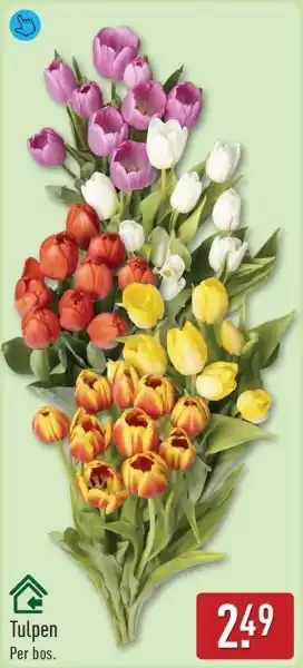 ALDI Tulpen aanbieding