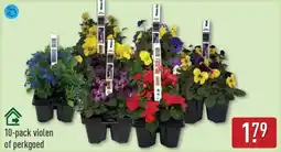 ALDI Violen of perkgoed aanbieding