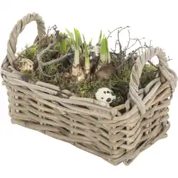 Albert Heijn AH Arrangement kubu mand met narcis aanbieding