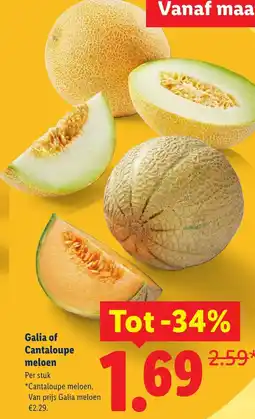 Lidl Galia of Cantaloupe meloen aanbieding