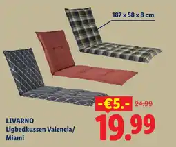 Lidl Livarno Ligbedkussen Valencia/ Miami aanbieding