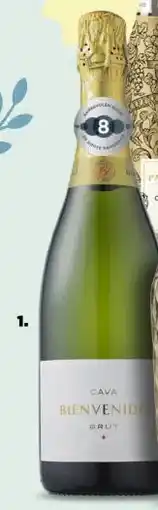 PLUS Bienvenido Cava Brut, aanbieding