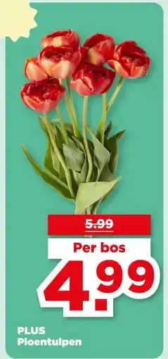 PLUS PLUS Pioentulpen aanbieding