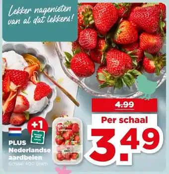 PLUS PLUS Nederlandse aardbeien aanbieding