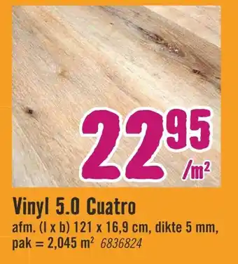 Hornbach Vinyl 5.0 cuatro aanbieding