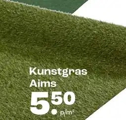 Kwantum Kunstgras Aims aanbieding