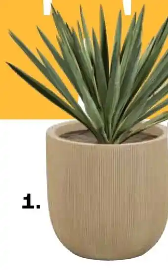 Kwantum Domont aanbieding