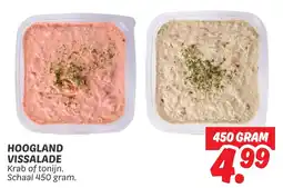 Dekamarkt Hoogland vissalade aanbieding