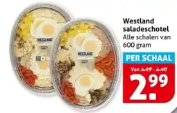 Hoogvliet Westland saladeschotel aanbieding