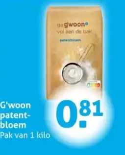 Hoogvliet G'woon patent bloem aanbieding