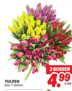 Dekamarkt Tulpen aanbieding