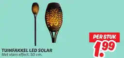 Dekamarkt Tuinfakkel led solar aanbieding