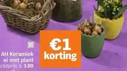 Albert Heijn AH Keramiek korting ei met plant aanbieding