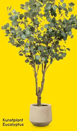 Leen Bakker Kunstplant Eucalyptus aanbieding