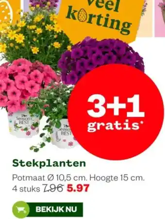 Welkoop Stekplanten aanbieding