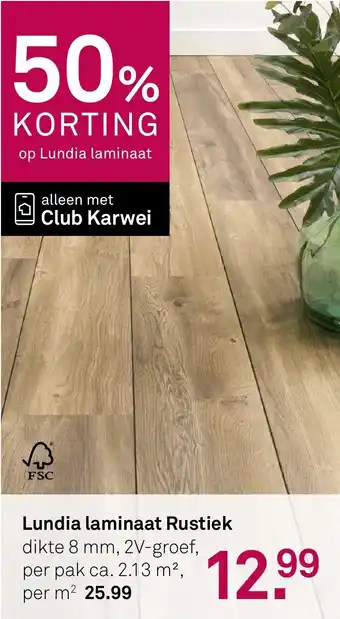 Karwei Lundia laminaat Rustiek aanbieding