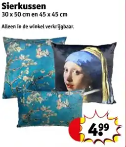 Kruidvat Sierkussen aanbieding