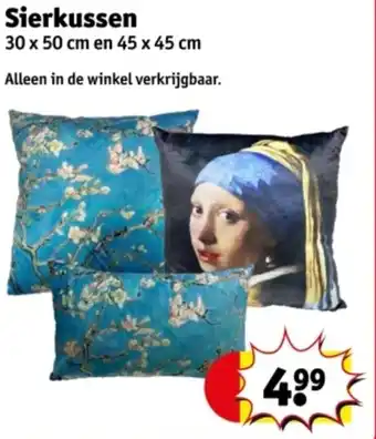 Kruidvat Sierkussen aanbieding