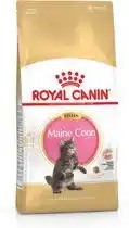 Bol.com Royal Canin Maine Coon Kitten - 2 kg - Kitten-Kattenvoer aanbieding