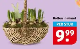 Hoogvliet Bollen in mand aanbieding