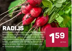 Ekoplaza Radijs aanbieding