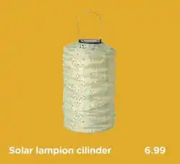 Xenos Solar lampion cilinder aanbieding