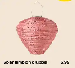 Xenos Solar lampion druppel aanbieding