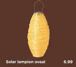 Xenos Solar lampion ovaal aanbieding