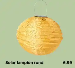Xenos Solar lampion rond aanbieding