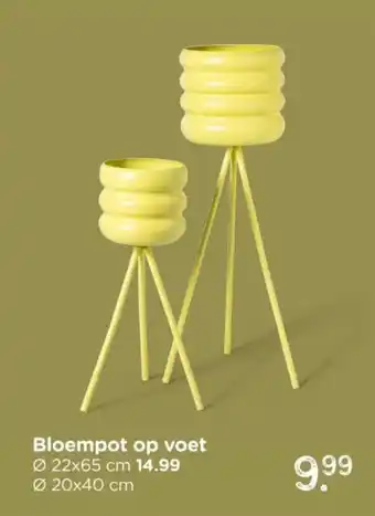 Bloempot op voet