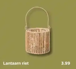 Xenos Lantaarn riet aanbieding